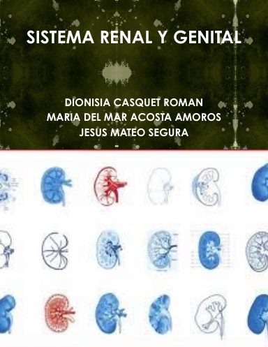 SISTEMA RENAL Y GENITAL