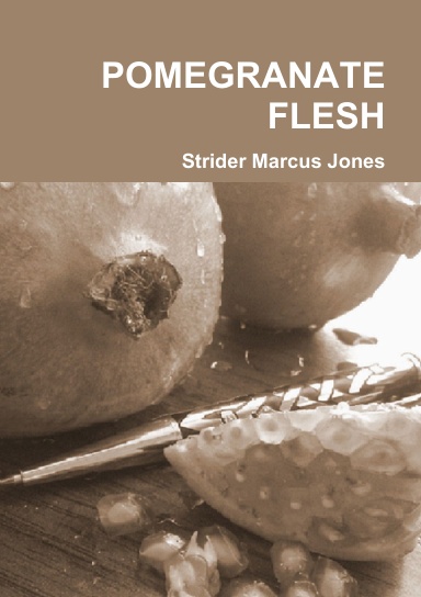 Pomegranate Flesh by Strider Marcus Jones