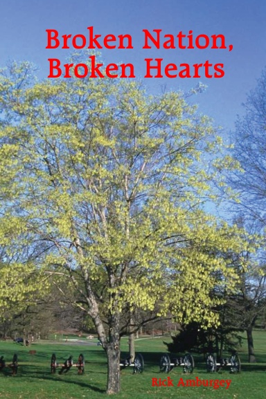 Broken Nation, Broken Hearts