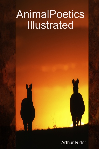 AnimalPoetics Illustrated