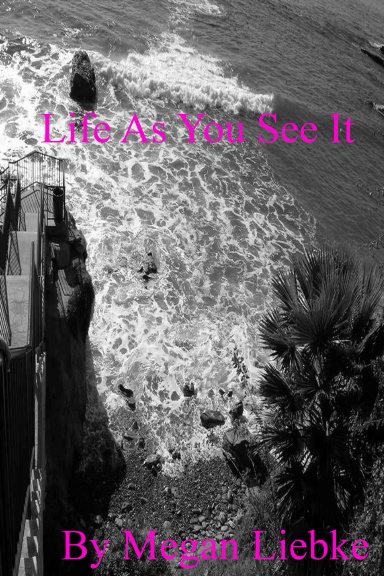 Life As You See It
