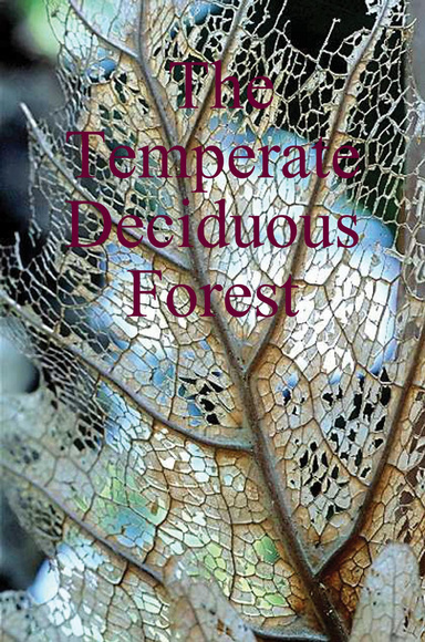 The Temperate Deciduous Forest