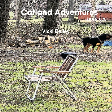 Catland Adventures