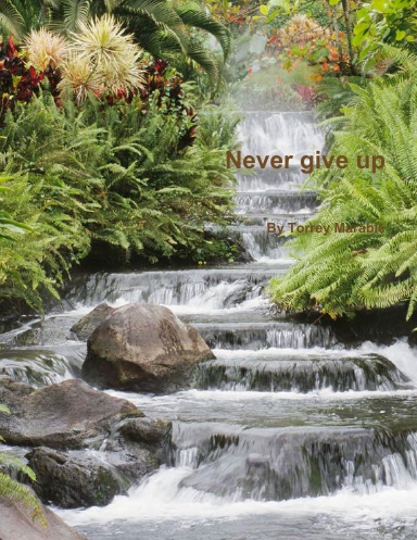 Never give up