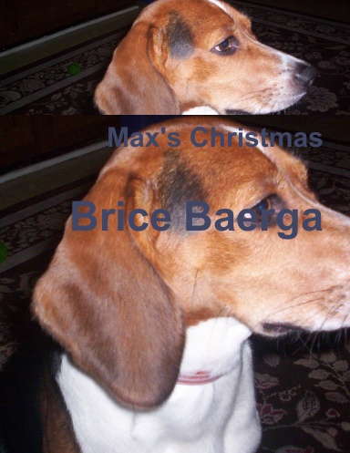 Max's Christmas