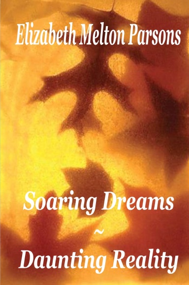 Soaring Dreams ~ Daunting Reality