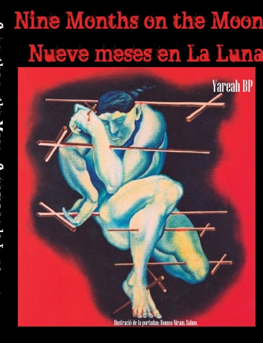 Nine Months on the Moon - Nueve Meses en La Luna