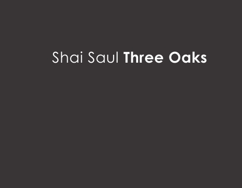 Shai Saul Three Oaks