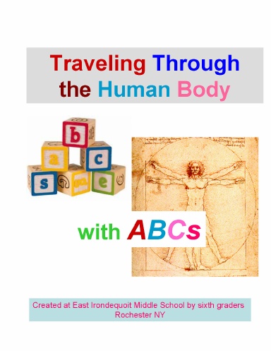 Traveling Through the Human Body with ABCs