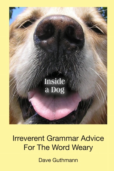 Inside a Dog