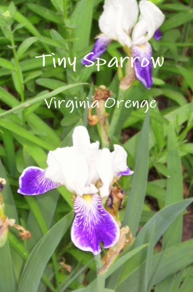 Tiny Sparrow