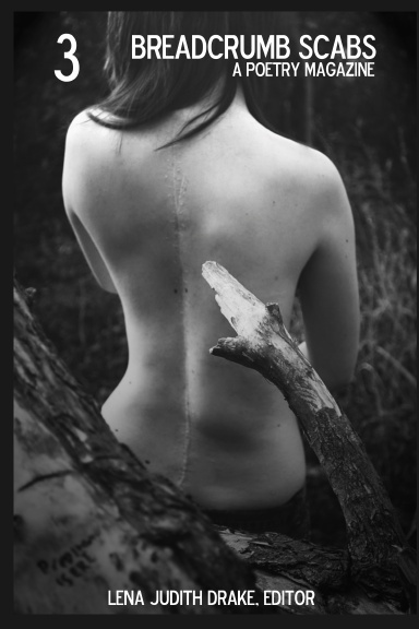 Breadcrumb Scabs, Issue 3