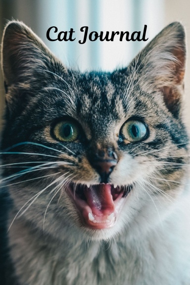 Cat Journal