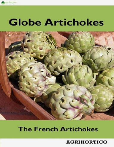 Globe Artichokes: The French Artichokes