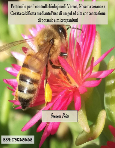 Protocollo per il controllo biologico di Varroa, Nosema ceranae e Covata calcificata mediante l’uso di un gel ad alta concentrazione di potassio e microrganismi