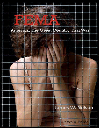 FEMA - America, the Great Country That Was