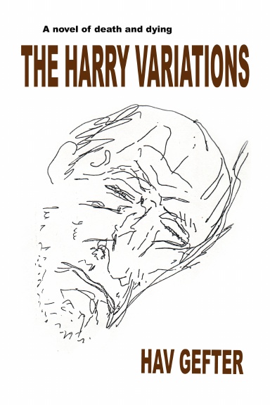 The Harry Variations
