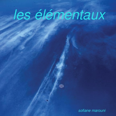 les élémentaux