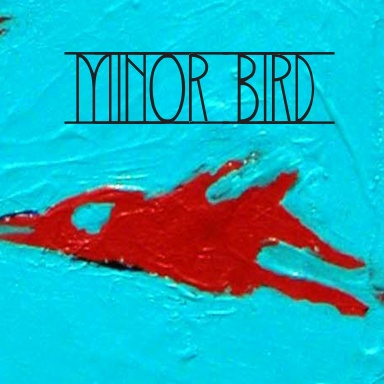 Minor Bird 2008