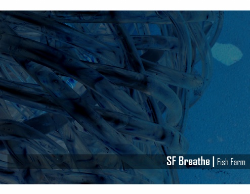 SF Breathe | Fish Farm