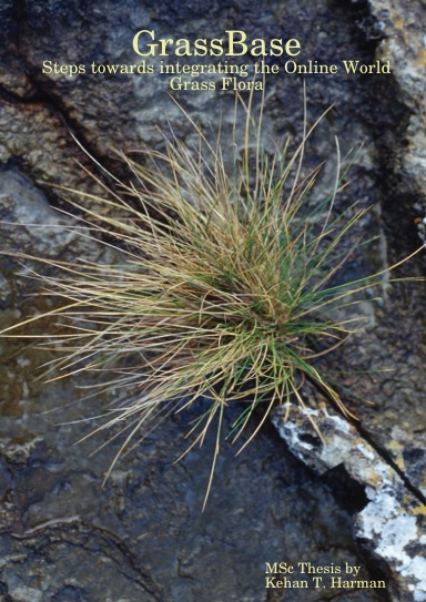 GrassBase - Steps towards integrating the Online World Grass Flora
