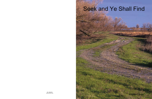 Seek and Ye Shall Find
