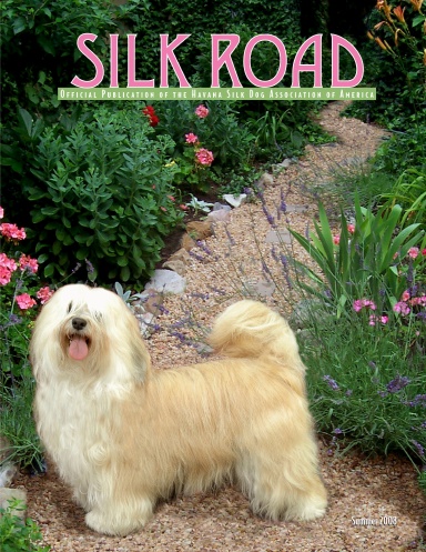 Silk Road Summer 2008