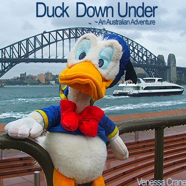 Duck Down Under