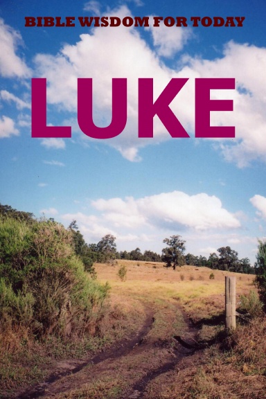 Bible Wisdom for Today: LUKE