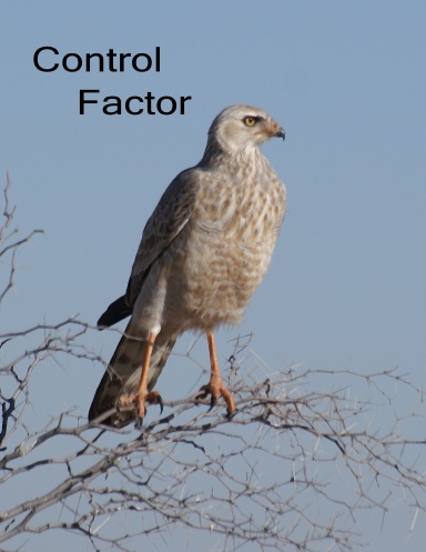 Control Factor