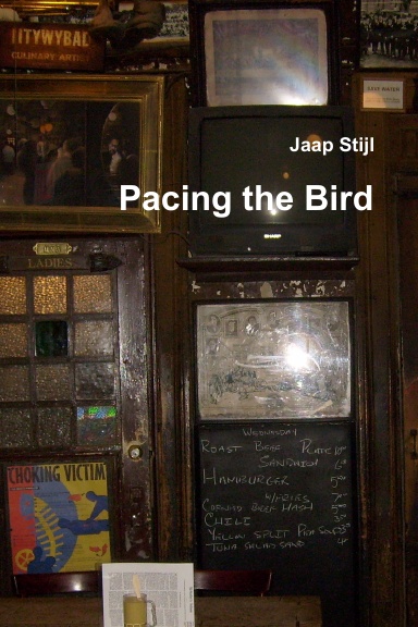 Pacing the Bird