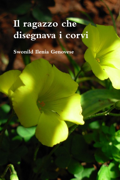 Il ragazzo che disegnava i corvi
