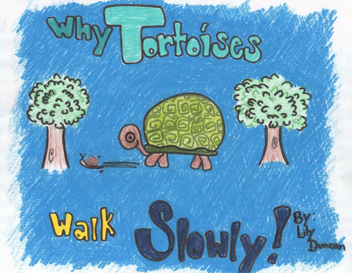 Why Tortoises Walk Slowly