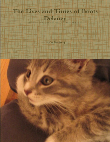 The Lives and Times of Boots Delaney