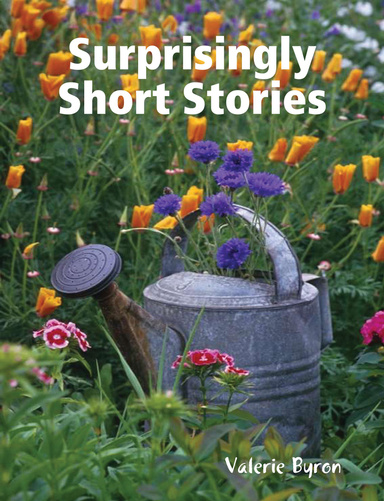 Surprisingly Short Stories