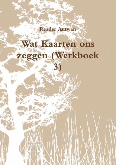 Wat Kaarten ons zeggen (Werkboek 3)
