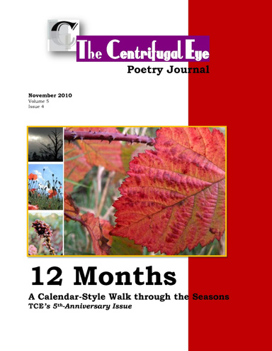 The Centrifugal Eye: November 2010, Volume 5, Issue 4