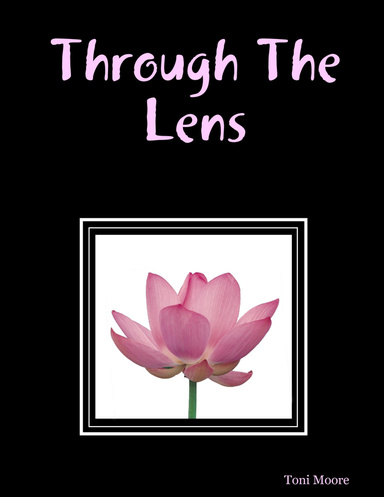 Through The Lens