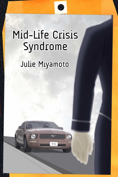 Mid-Life Crisis Syndrome paperback edition