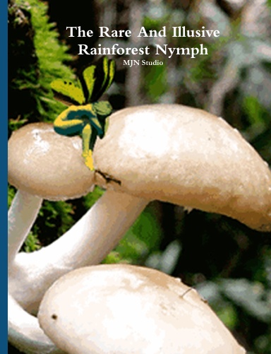 The Rare And Illusive Rainforest Nymph