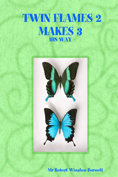 TWIN FLAMES 2 MAKES 3 - HIS WAY