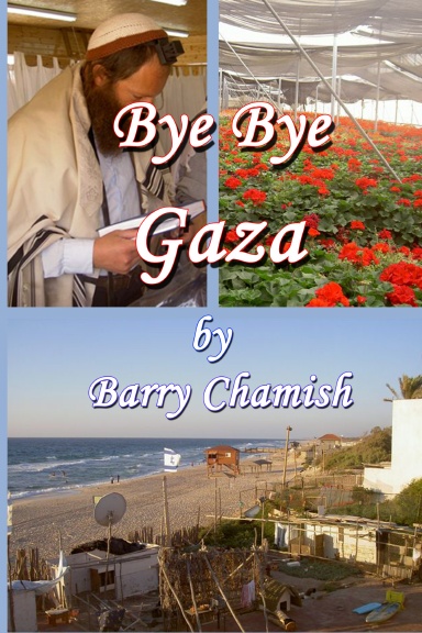 Bye Bye Gaza  (black and white)