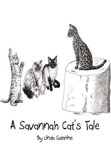 A Savannah Cat's Tale