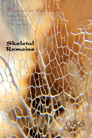 Skeletal Remains (Down in the Dirt v086)