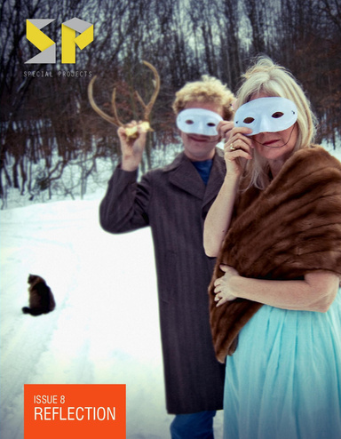 Issue 8: Reflection