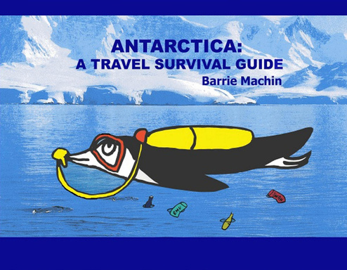 Antarctica: a travel survival guide