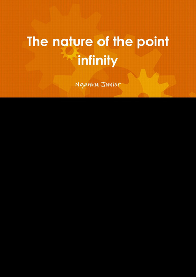 The nature of the point infinity
