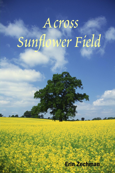 Across Sunflower Field