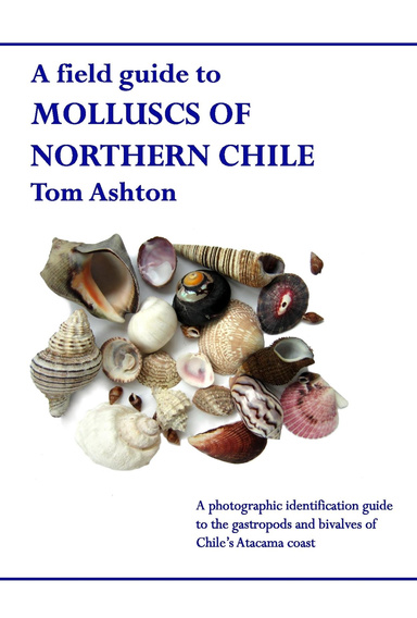 Molluscs of Northern Chile
