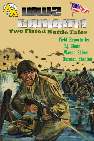 WW2 Combat